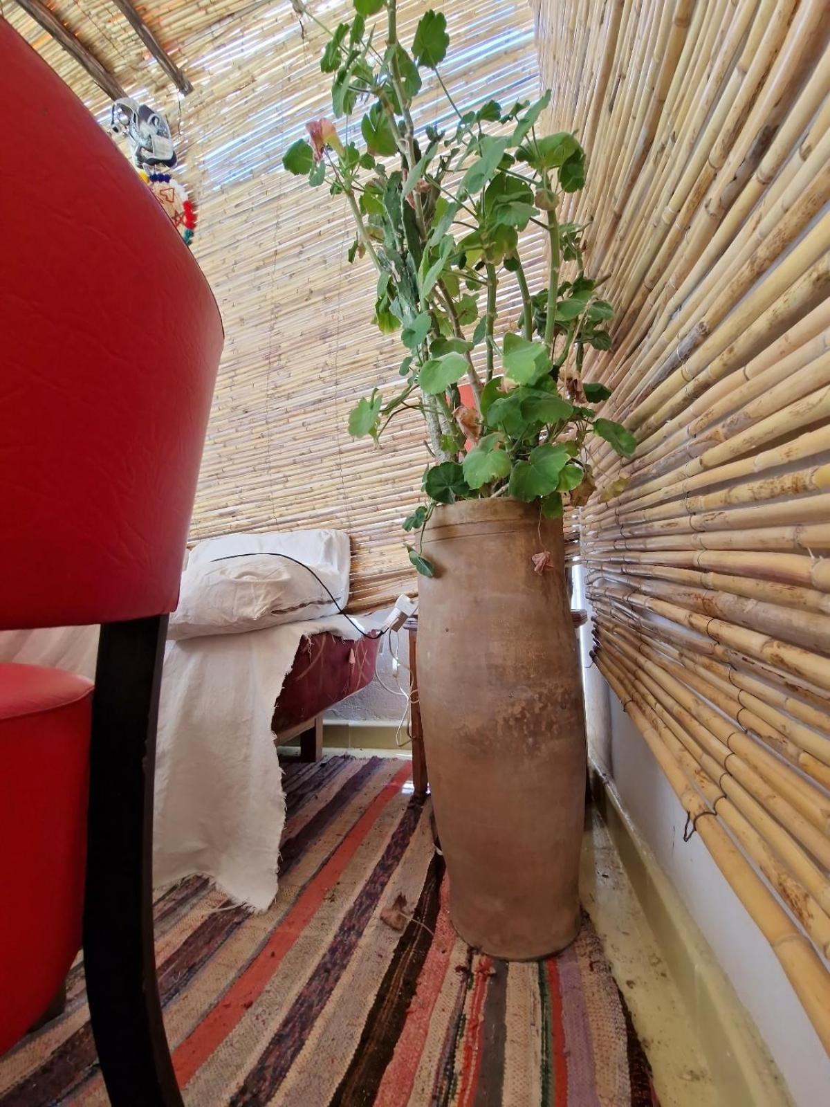 Hostel Banana แทนเจียร์ ภายนอก รูปภาพ
